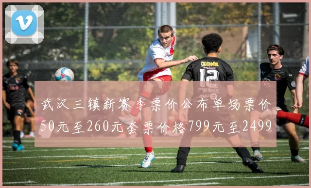 武汉三镇新赛季票价公布单场票价50元至260元套票价格799元至2499元